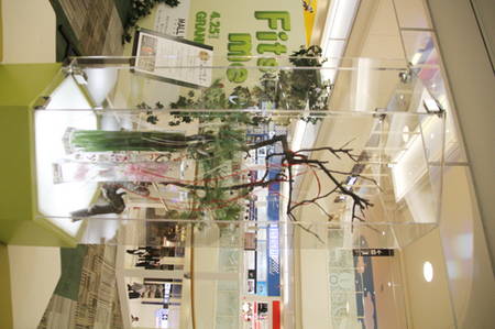 ionmo-rusoftopen 063.jpg